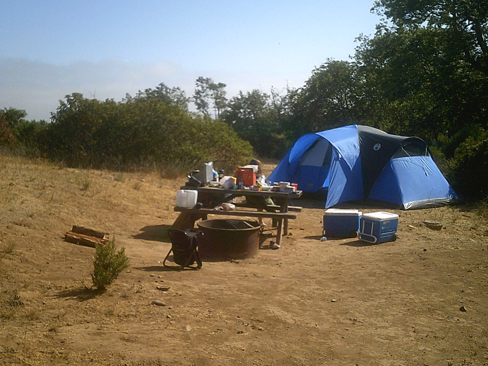 Tent, picnic table and gear at a California state park campsite