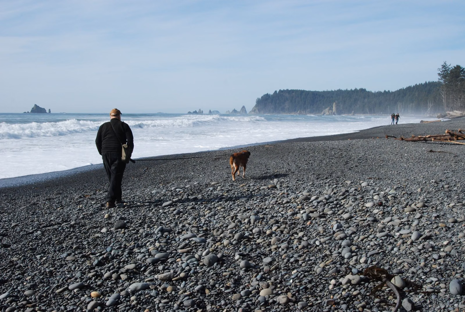 Visitor walking a dog on a leash along a pebble beach