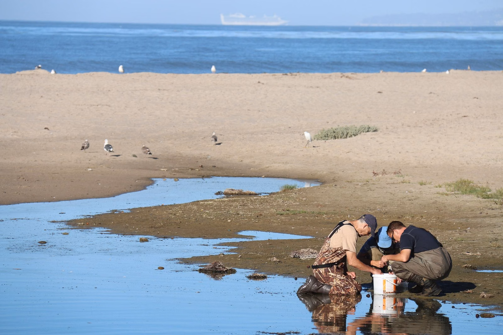 Sandy beach and shallow water at the mouth of Carpinteria Creek, with the ocean beyond