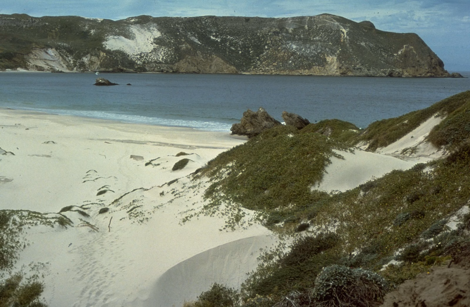 White sand cove and green slopes on a Channel Island